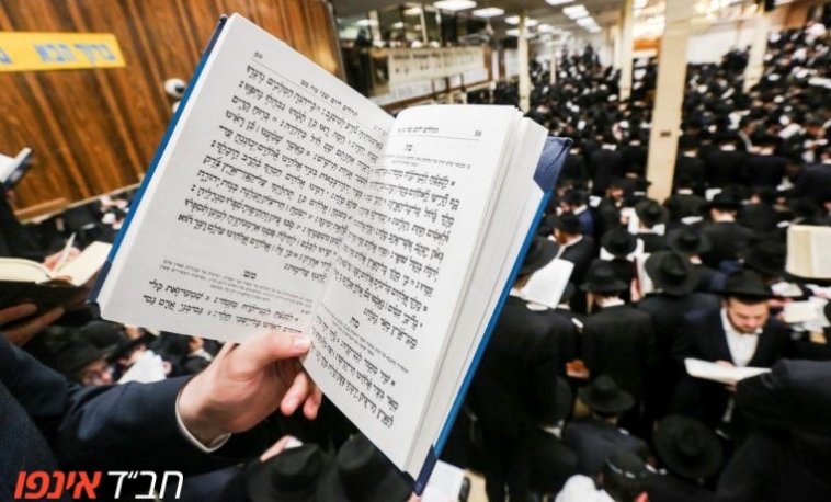 כולל חסידות: הקמפיין נמשך, קחו חלק במהפכה