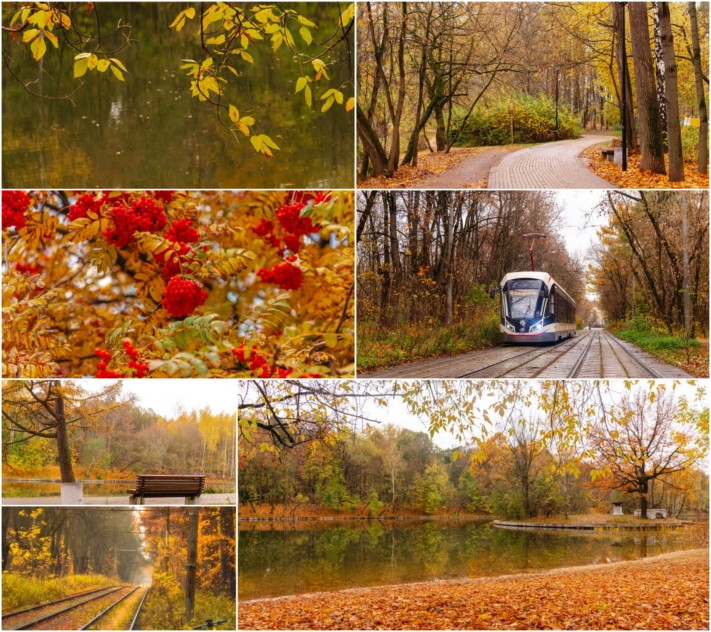 מרהיב: ה"סתיו הזהב" בפארק הרוסי הענק