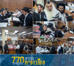 הגלריה השבועית מבית חיינו לשבוע פרשת לך לך