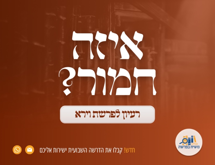 איזה חמור? • משיח בפרשה
