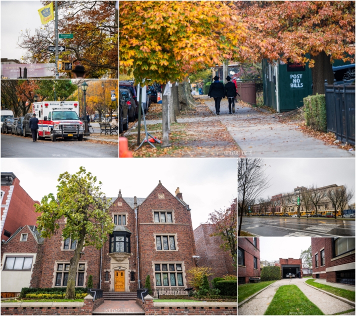 קוטלר תיעד: עונת הסתיו ברחבי שכונת קראון הייטס