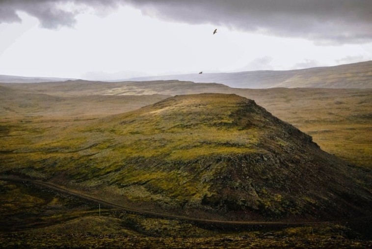 טסים לי' שבט לרבי? מבוטחים אצל 'רייניץ ביטוחים'