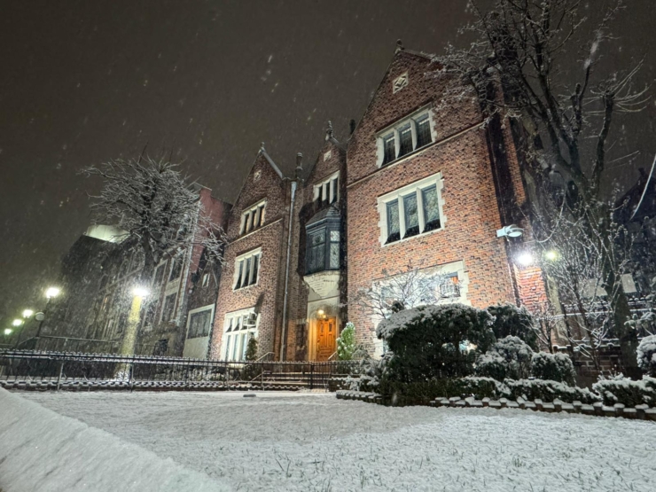 שלג ראשון בקראון הייטס: בית חיינו התכסה בלבן