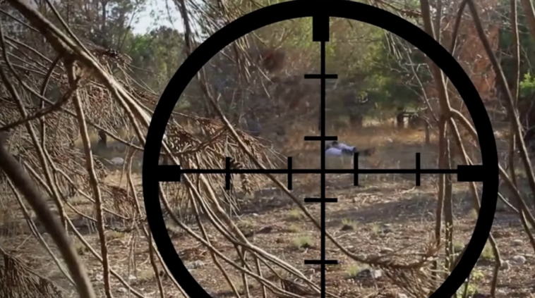 גן ישראל מגדל העמק: גלריית סיכום מערב פסח