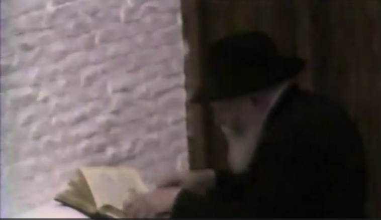 ארבעה זוכים בטיסה לרבי בקמפיין של "רבי יומי"