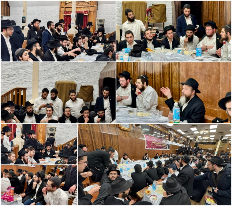 קרית אתא: תלמידי הישיבות בעיר למדו בתומכי תמימים