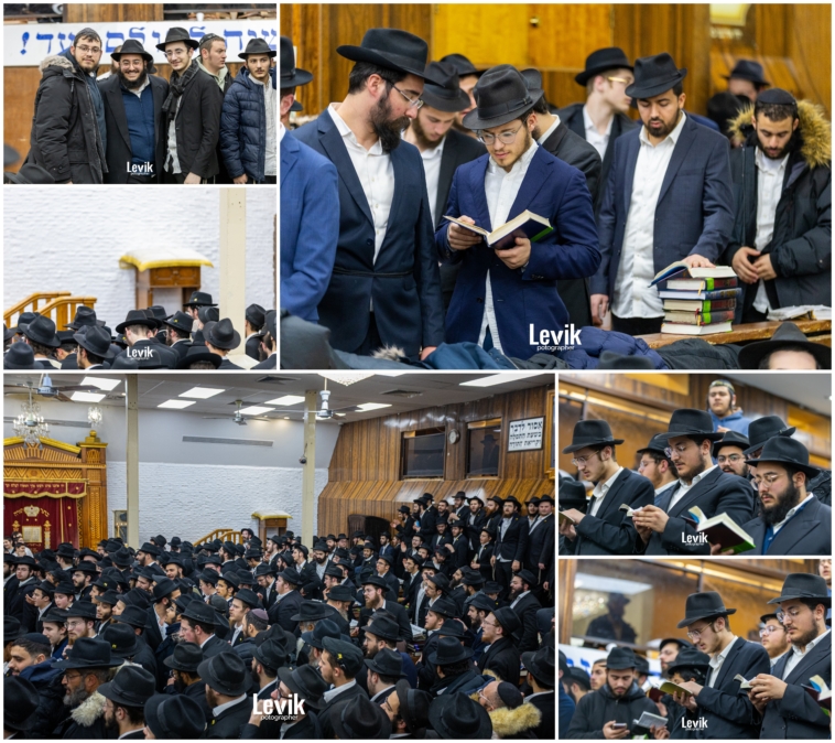 מפתיע: בצהרי היום המרא דאתרא התיישב להתוועד