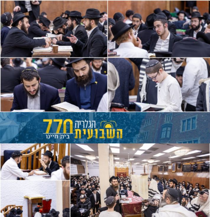 הגלריה השבועית מבית חיינו לשבוע פרשת תרומה