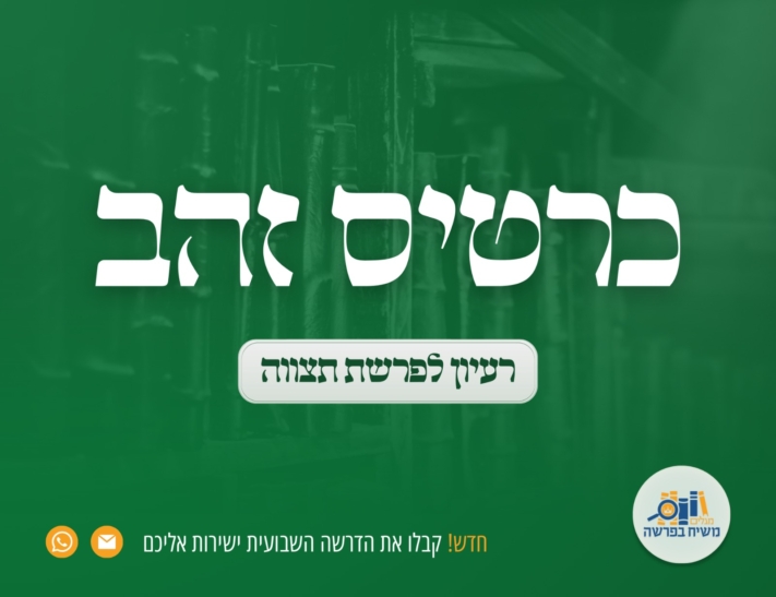 כרטיס זהב • משיח בפרשה