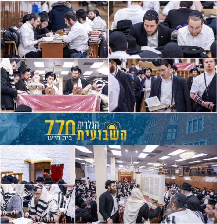 הגלריה השבועית מבית חיינו לשבוע פרשת תצווה