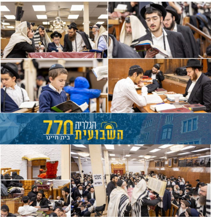 הגלריה השבועית מבית חיינו לשבוע פרשת ויקרא