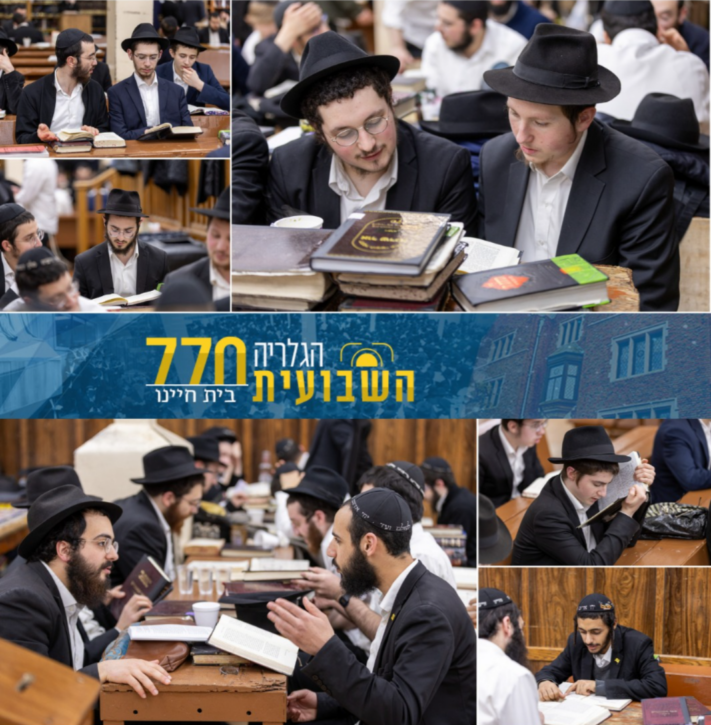 הגלריה השבועית מבית חיינו לשבוע פרשת צו