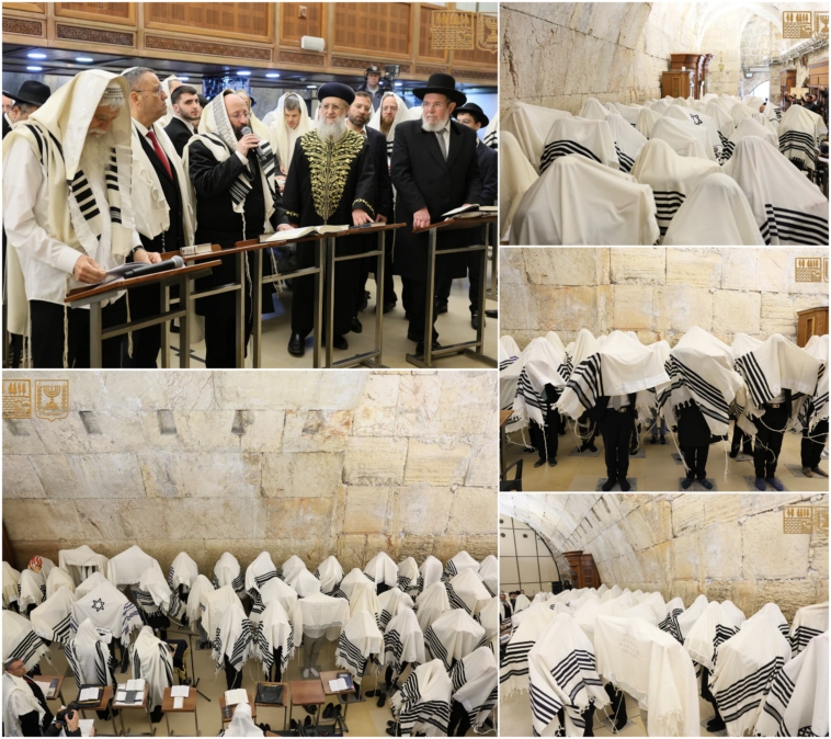 אופקים: בית תבשיל חב"ד בפעילות נרחבת בעקבות המלחמה