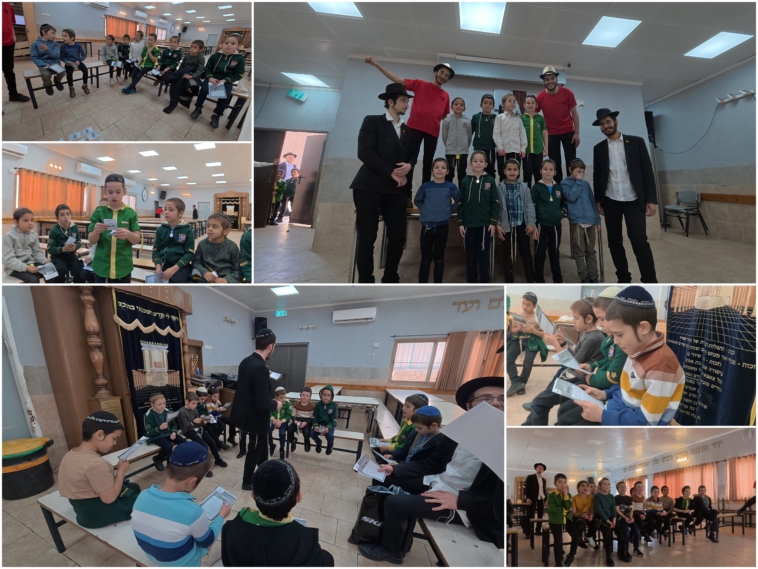 צבאות השם צפת: חטיבת הצעירים בפעולה