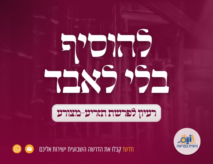 להוסיף בלי לאבד • משיח בפרשה