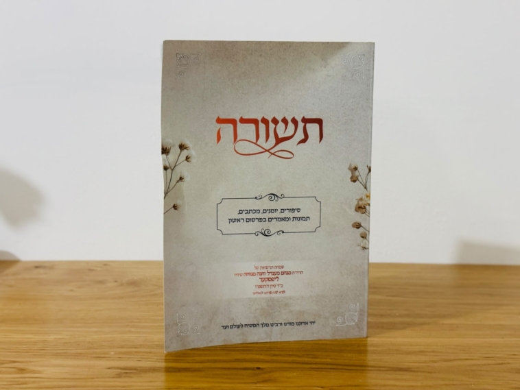 לחיות את פרשת חוקת עם הרבי • שיעור מיוחד לרגל ג' תמוז