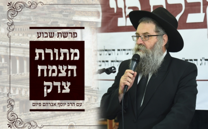 מתורת הצמח צדק: חלוקת הארץ לעתיד לבוא